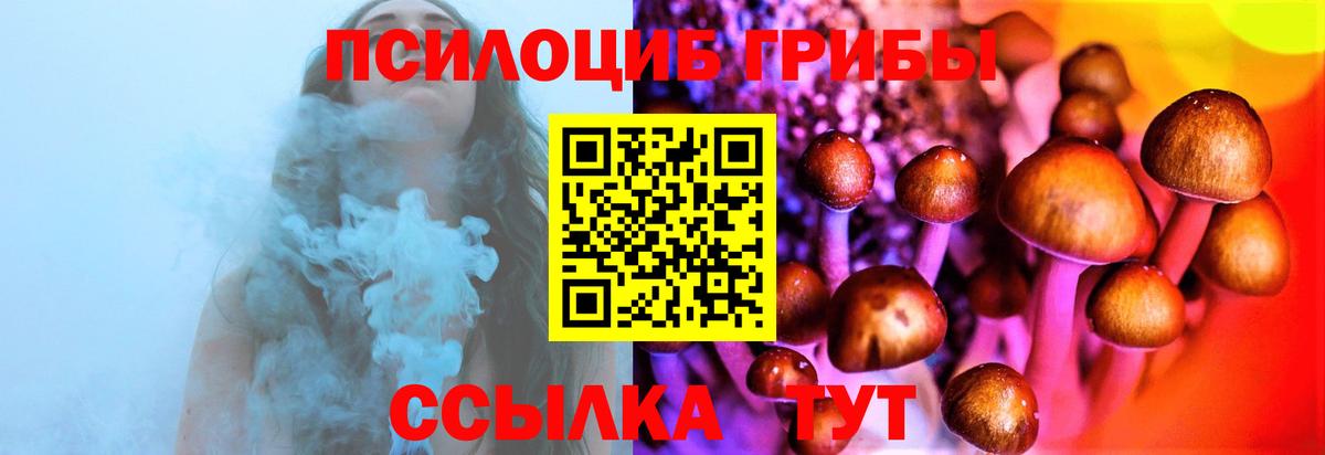 Псилоцибиновые грибы Psilocybe Волжский